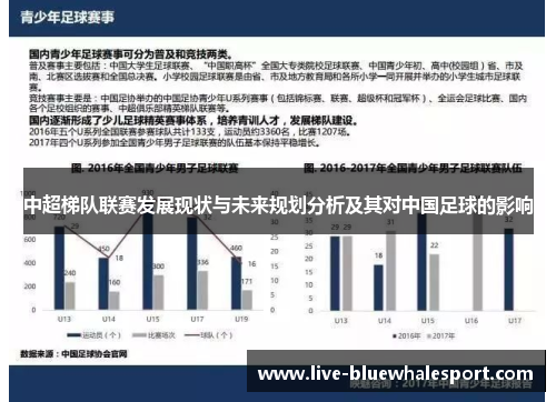 中超梯队联赛发展现状与未来规划分析及其对中国足球的影响