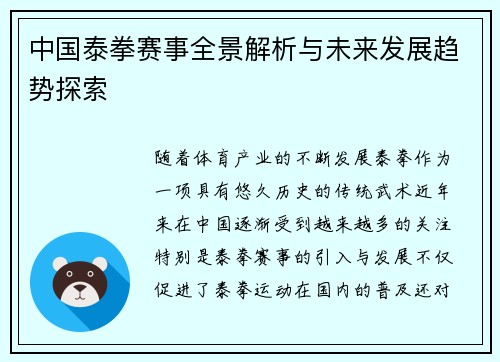 中国泰拳赛事全景解析与未来发展趋势探索