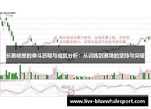 长跑明星的奋斗历程与成就分析：从训练到赛场的坚持与突破